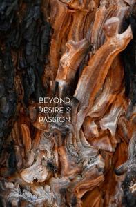Beyond Desire & Passion Free PDF e-book