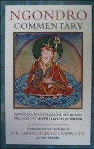 Commentary on Ngöndro Practice according to The New Treasure of Dudjom download free PDF e-book here