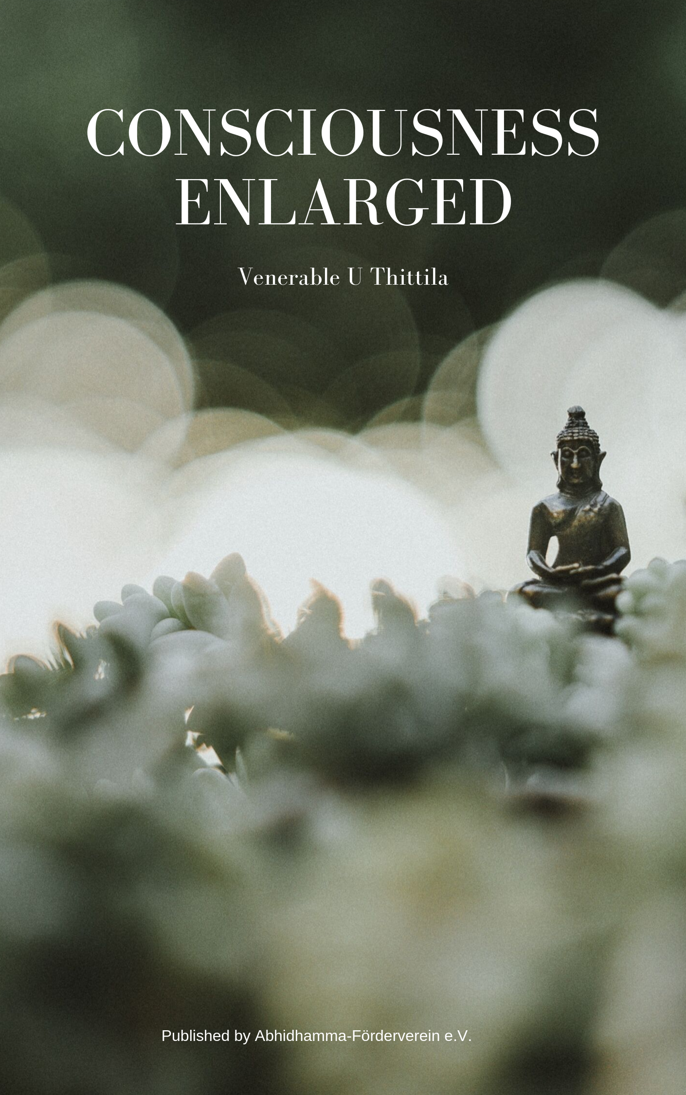 Consciousness Enlarged free Buddhist PDF e-book