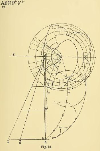 Geometrical Pshychology or the Science of Representation