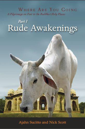 Rude Awakenings PDF Ebook