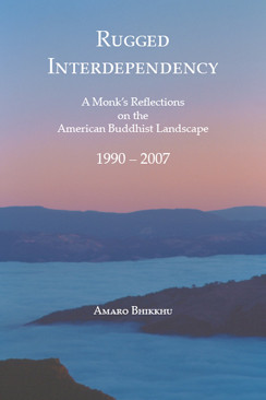 Rugged Interdependency ebook