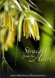 Straight From the Heart pdf Ebook on Buddhism