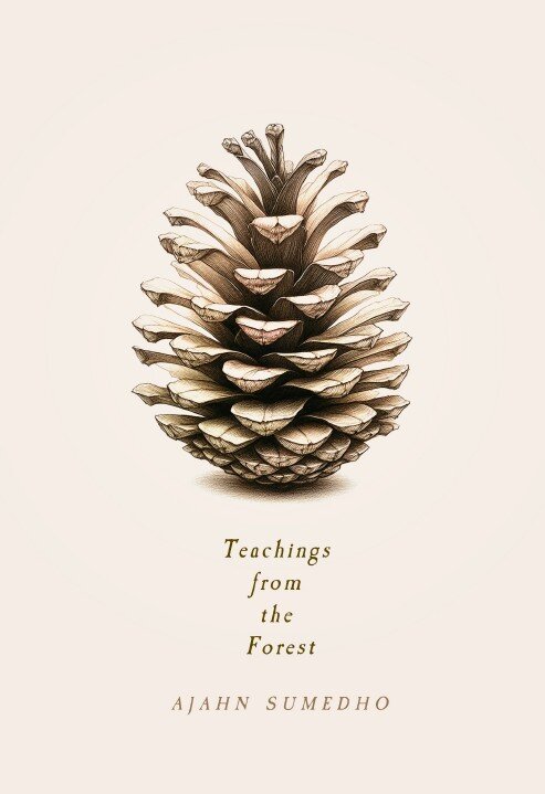 Teachings From the Forest