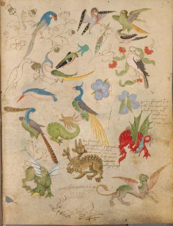 The Illuminated Sketchbook of Stephan Scriber
