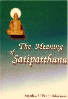 The Meaning of Satipatthana ebook