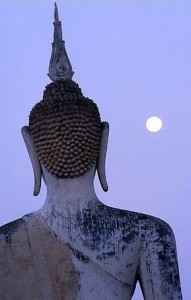 Vipassana Buddhist Meditation practice
