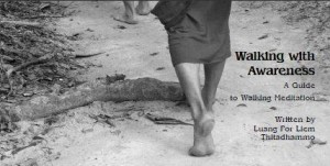 Walking with Awareness, free guide to walking meditation ebook