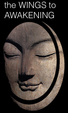 the Wings to Awakening buddhist ebook by by Thanissaro Bhikkhu